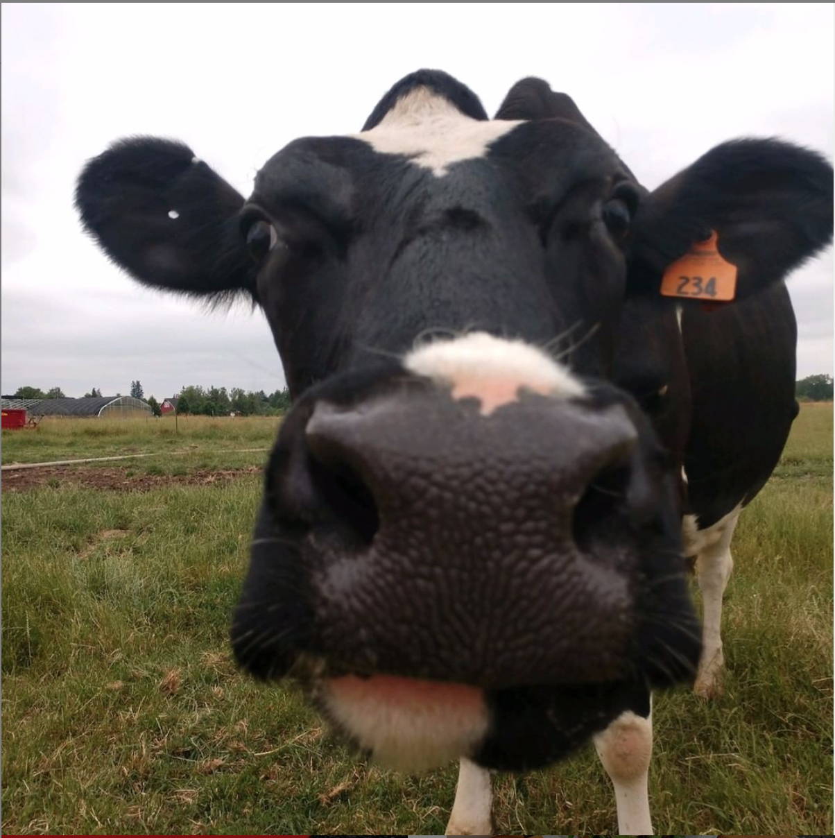 FARMERS | TMK Creamery