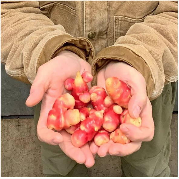FARMERS | Cascade Organics