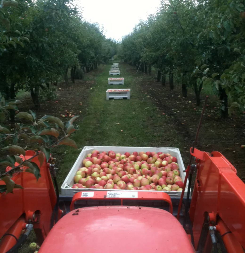 FARMERS | Baird Family Orchards