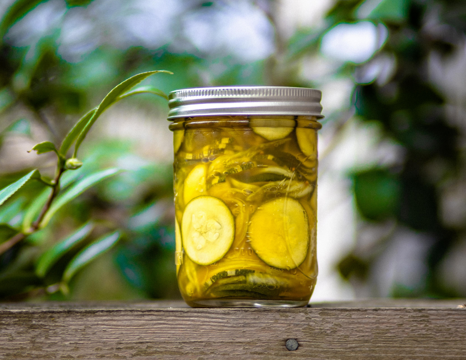 Bread ‘N’ Butter Quick Pickles